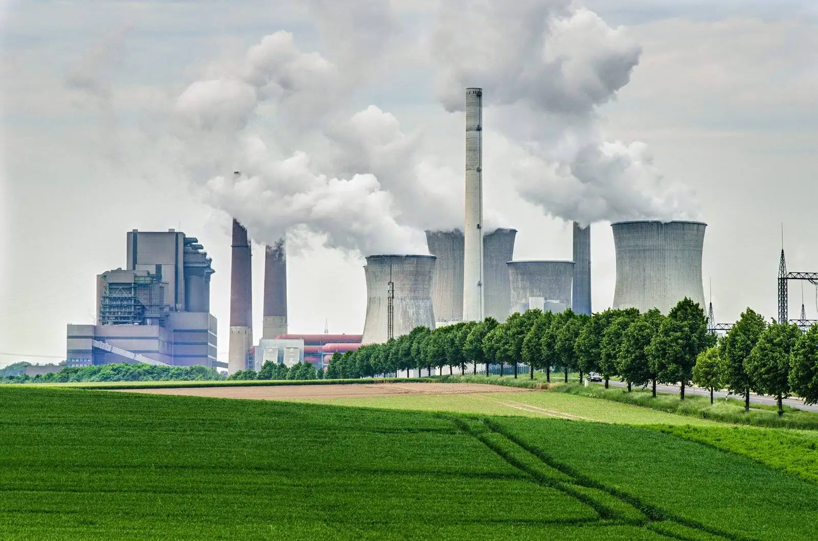 Carbon Tax Simulation – UK